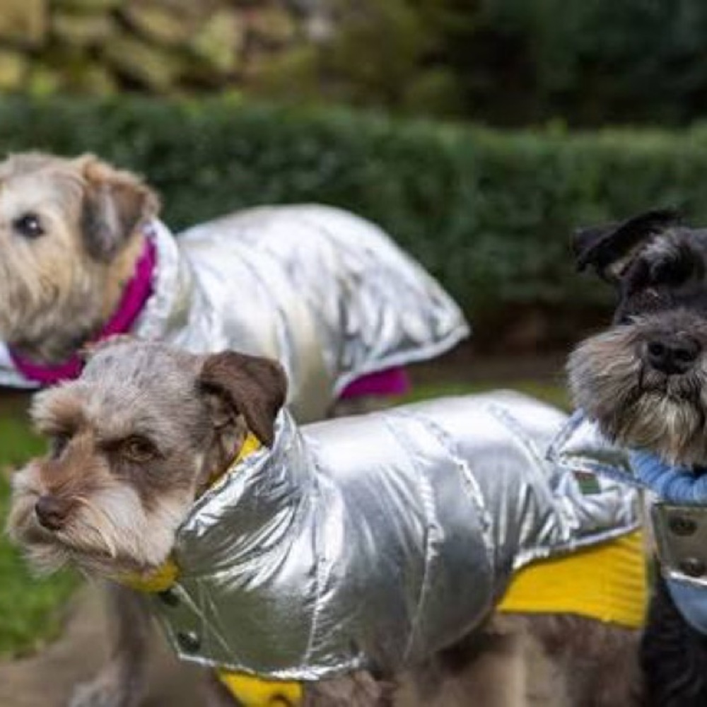 Canine Styles Silver Dog Puffer Jacket Size S